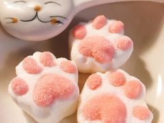 -猫咪博物馆(顶澳仔猫街店)