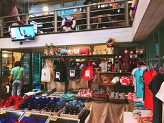 -猫咪博物馆(顶澳仔猫街店)