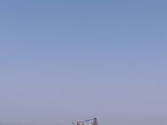 -上海滨江森林公园