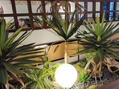 -吕氏焗小鲜•海鲜青岛菜(八大关店)