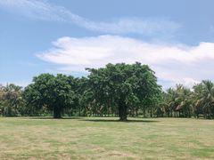 -白沙门生态公园