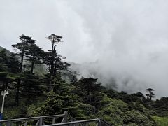 -苍山感通索道