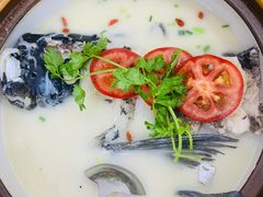 -全乐鱼馆·淳牌有机鱼直营店