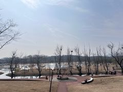 -佛手湖郊野公园