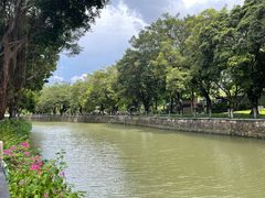 -晓港公园