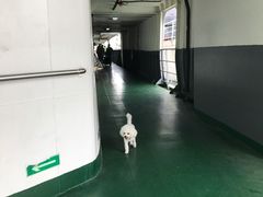 -海安新港(公交站)