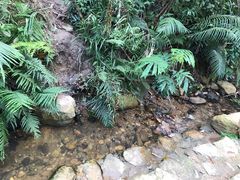 -深圳仙湖植物园-停车场
