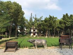 -朱家角课植园