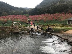 -广州市石门国家森林公园