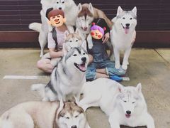 -TrueLove @ Neverland (Husky Cafe)