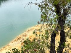 -广州市流溪河国家森林公园