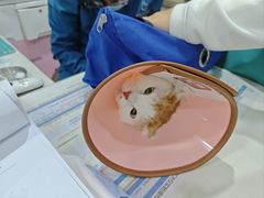 -子乐宠物医院