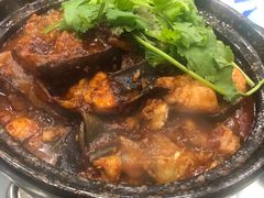 麻辣鲶鱼煲-川香煲(茅台路店)