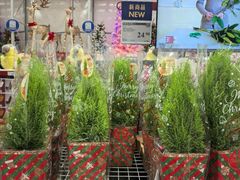 -山姆会员商店(上海浦东店)