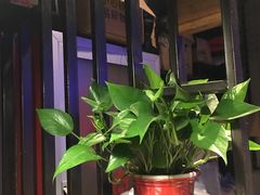 -美滋滋尚鱼烤鱼餐厅(空港店)