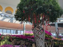 -南通洲际绿博园