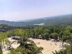 -牛首山文化旅游区