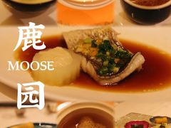 -鹿园 MOOSE(长宁店)