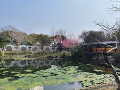 -月湖风景区