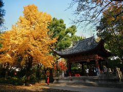 -汇龙潭