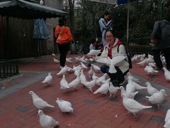-国色天乡三期陆地乐园