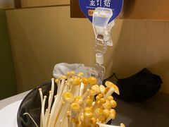 金色金针菇-海底捞火锅(河东万达广场店)