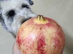 -争先鲜·蒸汽海鲜自助·鲜切牛肉