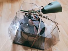 -小苍兰风铃草·礼物蛋糕(沈阳店)
