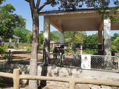 -石家庄市动物园