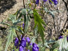-白草畔自然风景区