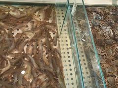河蟹-孙家码头海鲜自助美食城