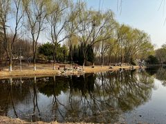 -东升八家郊野公园