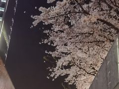 -独一道·邵伯龙虾土菜馆·烧烤(雨花西路店)