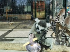 -水上乐园·欢乐世界