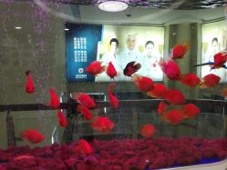 -成都军建医院·疤痕诊疗中心