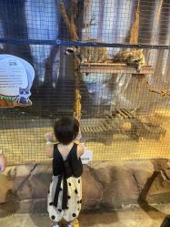 -酷嗒动物文化乐园(cutezoo西溪乐天城店)