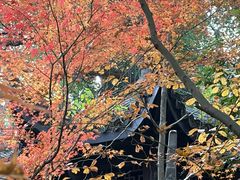 -龙井壹号·茶缘山景宴(龙井村店)