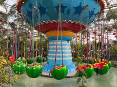 -南宫五洲植物乐园