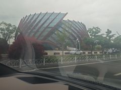 -星光岛
