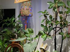 -Thai Basil罗勒叶泰式餐厅(时代天街店)