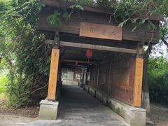 -荷塘月色湿地公园·向阳花洲