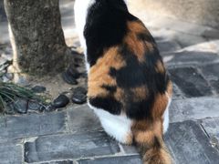 -巴金故居