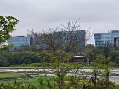 -华侨城湿地公园