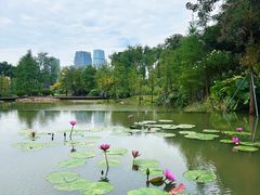 -云溪植物园