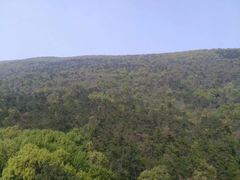 -紫金山山顶公园