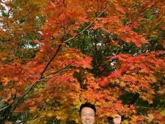 枫林-丹东天桥沟景区