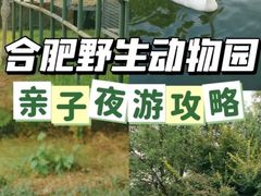 -合肥野生动物园
