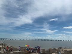 -宝安西湾红树林湿地公园