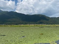 -腾冲北海湿地