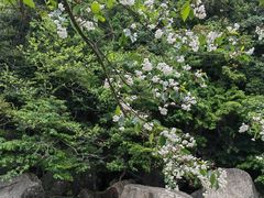 -黄山翡翠谷景区